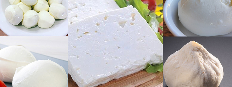 DELICE FOOD